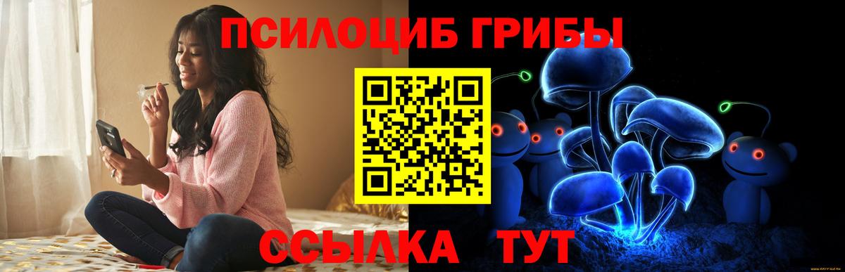 Псилоцибиновые грибы ЛСД  Вход с VPN  купить  цена  Севастополь 